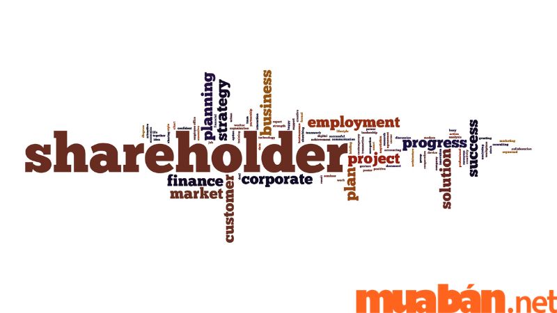 Bản chất của Shareholder là cổ đông của công ty