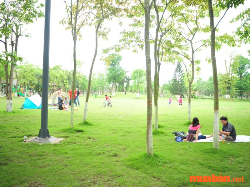 Ecopark Hưng Yên có gì chơi? - Công viên mùa Hạ là địa điểm tuyệt vời để cắm trại