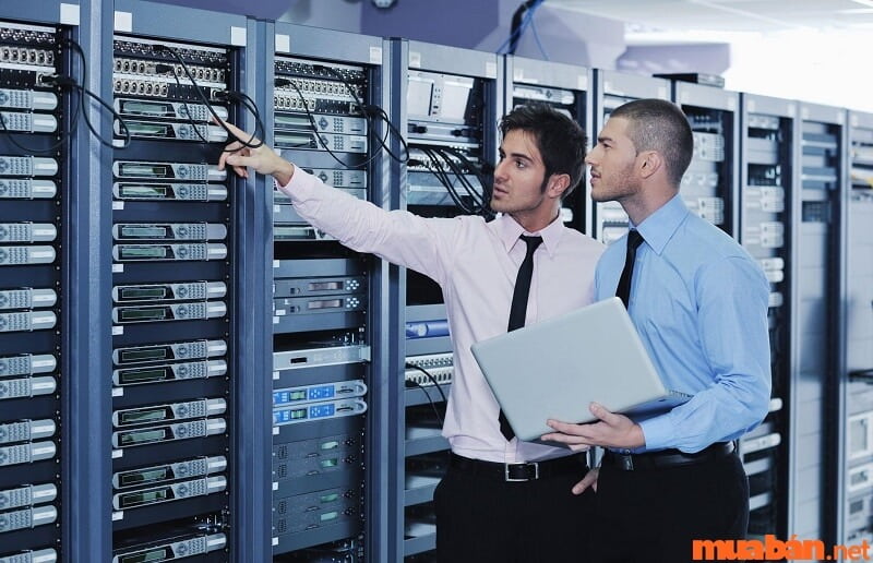 Người quản lý CNTT là người chịu trách nhiệm quản lý toàn bộ hệ thống thông tin của một doanh nghiệp hoặc tổ chức.