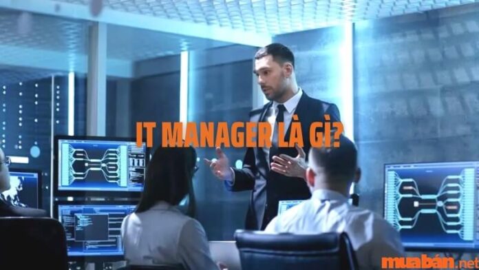 IT Manager là gì? Những tố chất cần có của một IT Manager