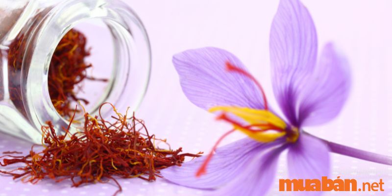 Tặng saffron cho mẹ chồng 