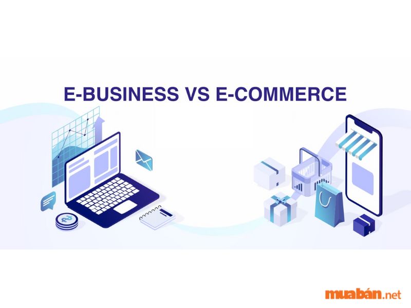 Sự khác nhau giữa E-commerce và E-business