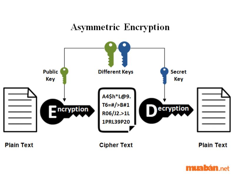 Asymmetric Encryption – Mã hóa bất đối xứng