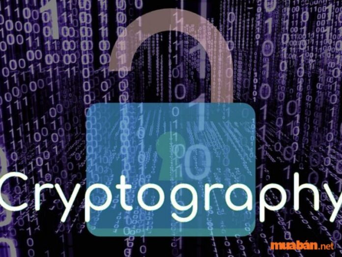 Cryptography là gì?