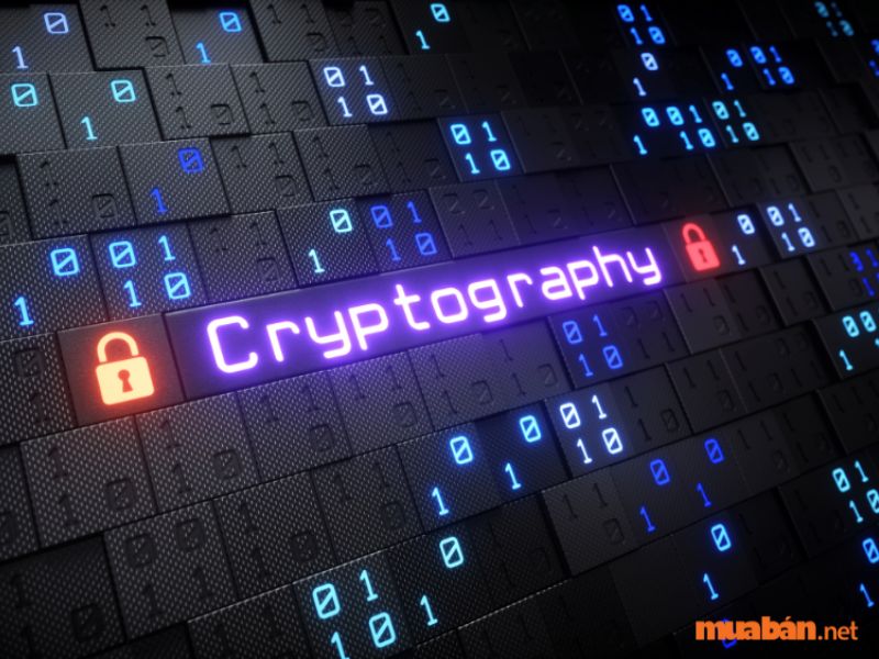 Cryptography là gì? 4 loại mã hóa thông dụng nhất hiện nay