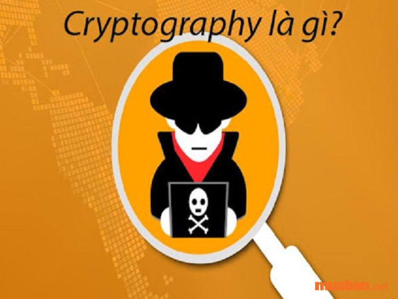 Học Cryptography có việc làm tại Việt Nam hay không?