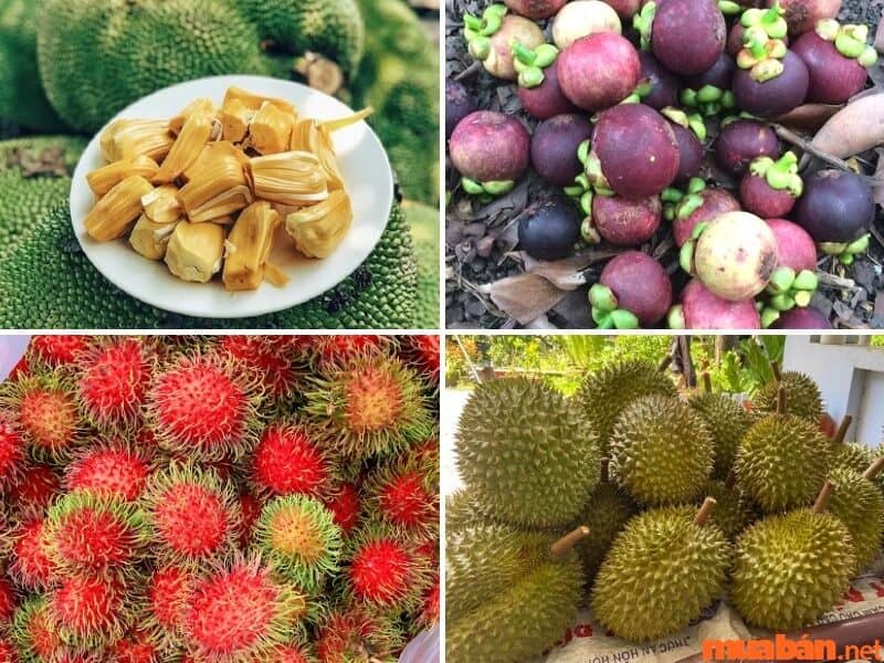 Đặc sản Đồng Nai là các loại trái cây tươi ngon.