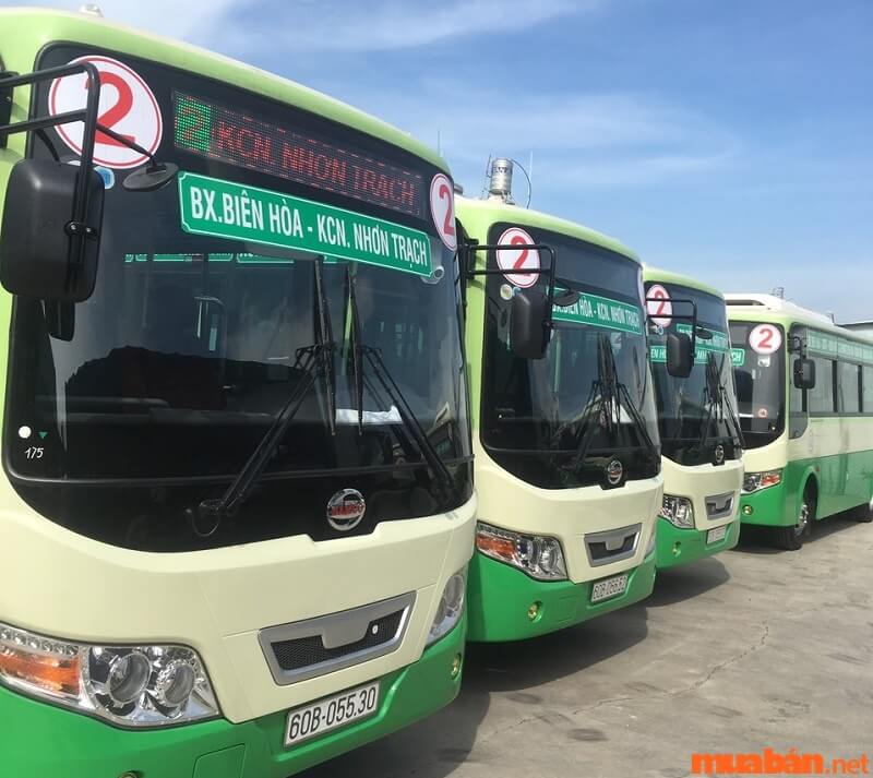 Xe bus tại Đồng Nai rất nhiều.