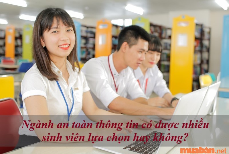 Mức độ ưa chuộng của sinh viên đối với ngành an toàn thông tin là gì?