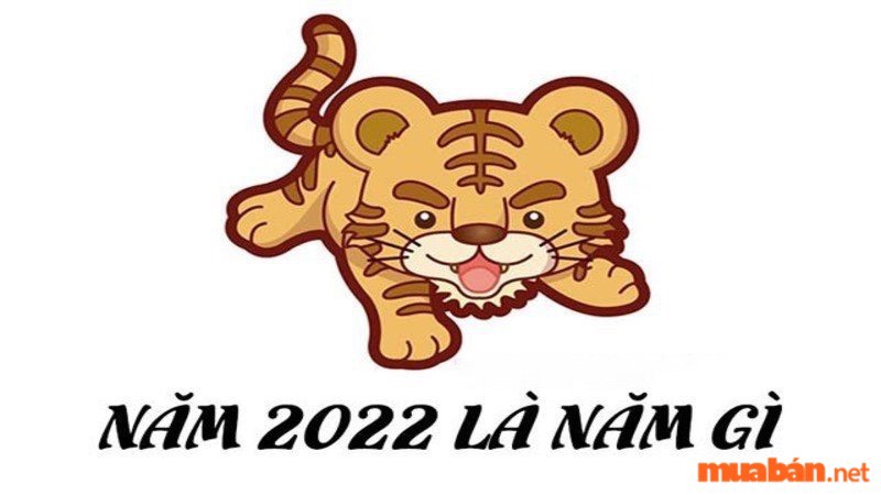 Năm 2022 mệnh gì?