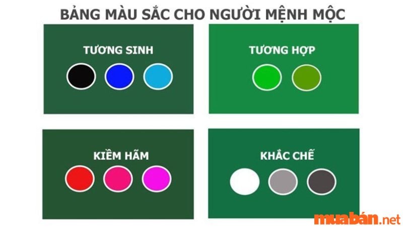 Nhâm Ngọ 2002 Hợp Màu Gì 2024? Tìm Hiểu Ngay Để Mang Lại May Mắn Và Tài Lộc