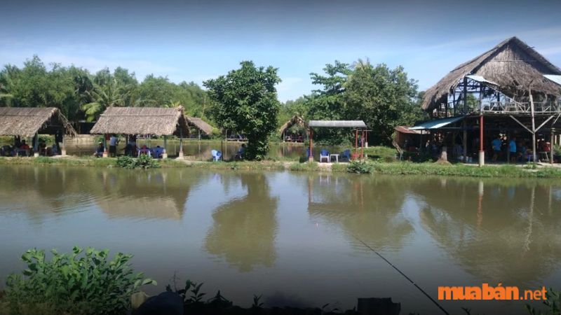 Địa điểm cuối cùng Muaban.net muốn giới thiệu cho bạn là khu câu cá Út Phương. Với những người mong muốn tìm về khung cảnh làng quê bình yên, tĩnh lặng và hấp dẫn bởi các hoạt động dân dã thì nơi đây chính là nơi du lịch nghỉ dưỡng hoàn hảo cho bạn.