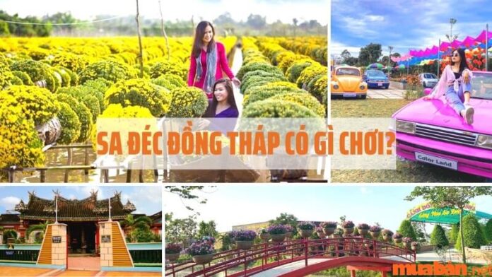 Sa Đéc Đồng Tháp có gì chơi? Check-in 25+ điểm du lịch không thể bỏ lỡ