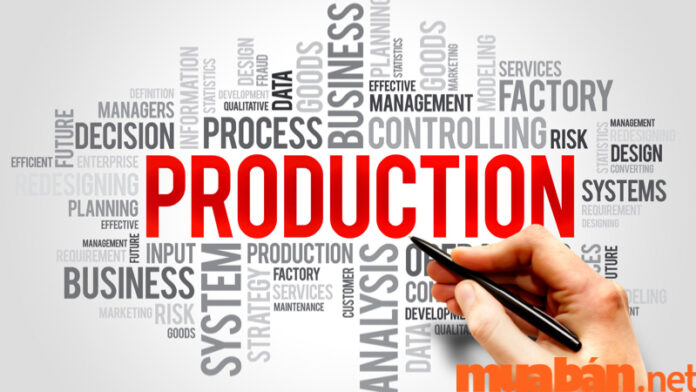 Production Management là gì?