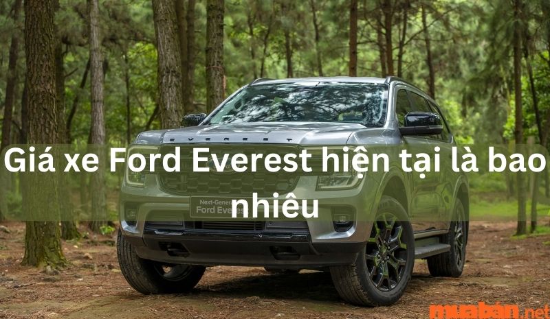 Giá xe Ford Everst trong phiên bản mới nhất là bao nhiêu?
