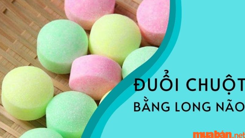 Đuổi chuột bằng long não