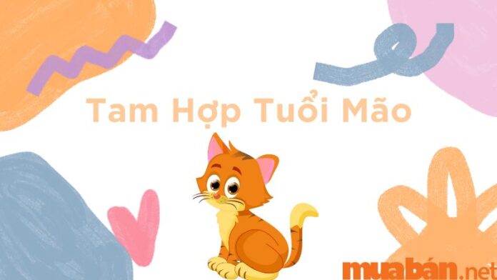 tam hợp tuổi mão