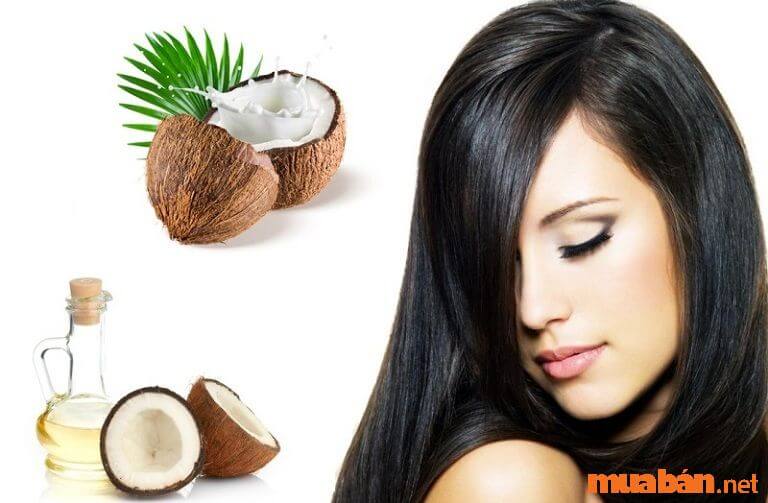 Hướng dẫn trị rụng tóc bằng dầu dừa