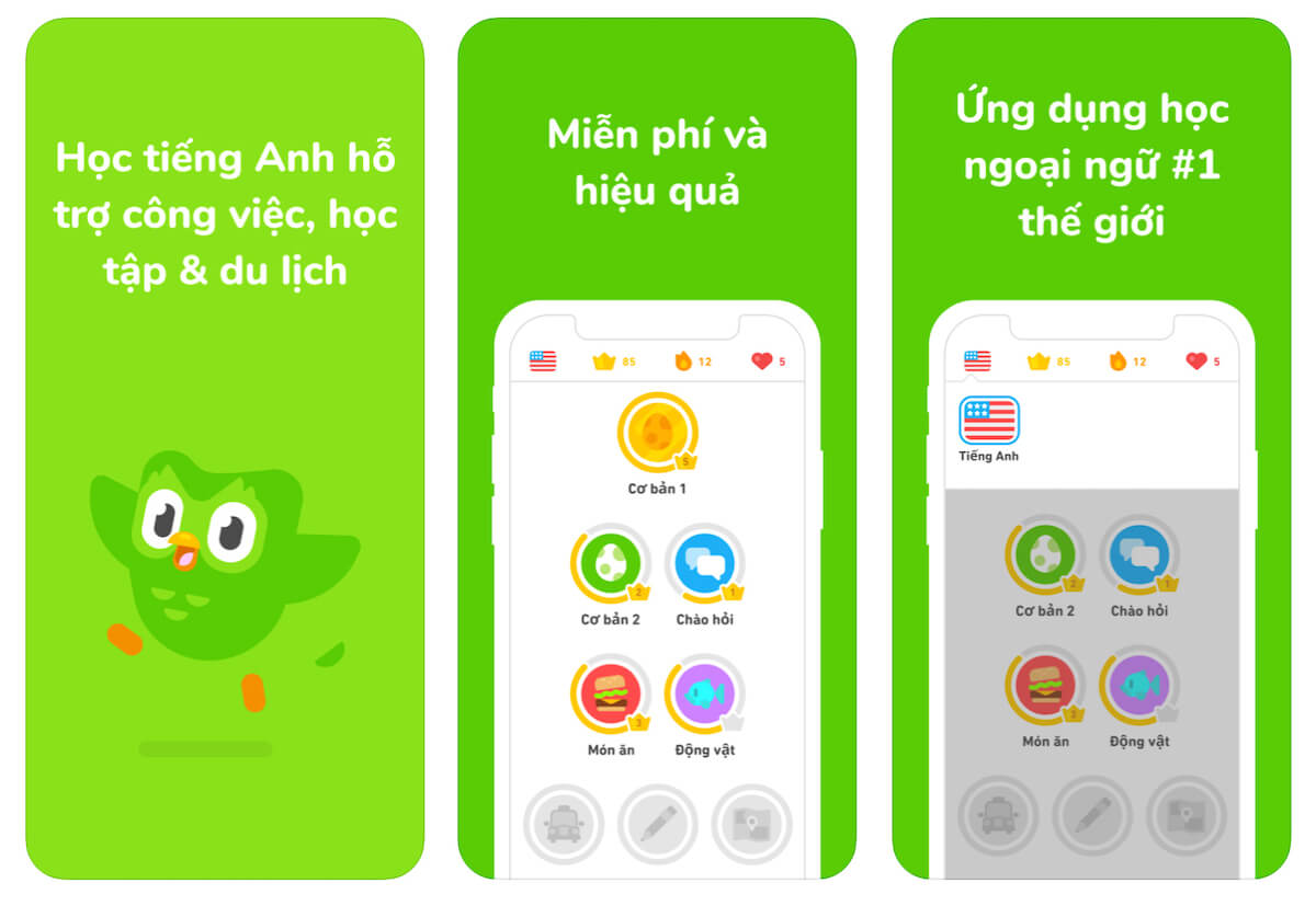 Ứng dụng học tiếng anh Duolingo