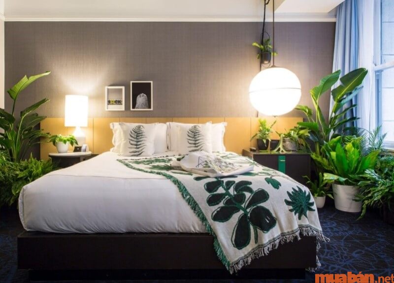 Thiết kế phòng ngủ không cửa sổ theo phong cách nhiệt đới, gần gũi thiên nhiên.