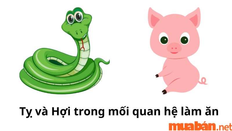 dần thân tỵ hợi tứ hành xung