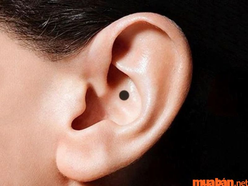 Nốt ruồi ở tai trái phụ nữ có ý nghĩa gì?