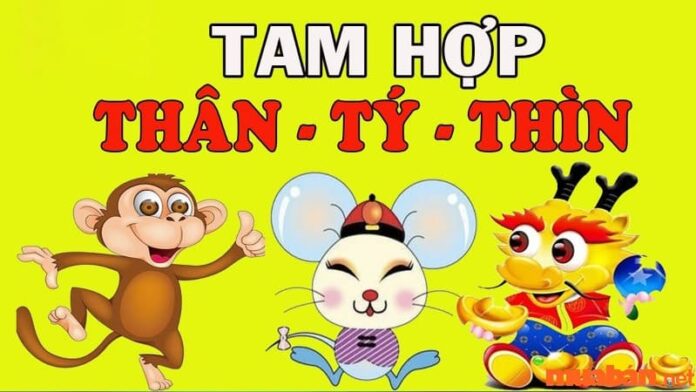 Tam hợp tuổi Thìn