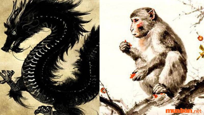 The Dragon and the Monkey year always support each other in business and love