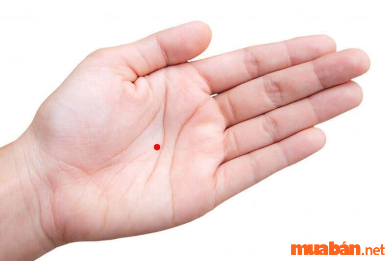 Phụ nữ sở hữu nốt ruồi phú quý trong lòng bàn tay trái được biết đến là người có số hưởng