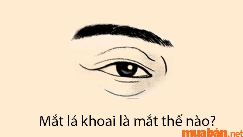 What is the appearance of mắt lá khoai (potato leaf-shaped eyes)?
