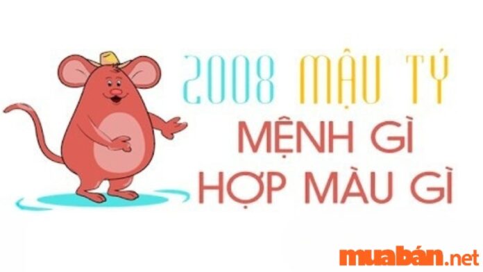 2008-hop-mau-gi