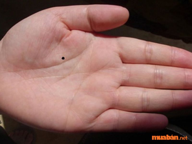 Ý nghĩa nốt ruồi đen trong lòng bàn tay
