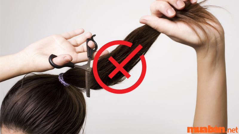 GIẢI ĐÁP có nên cắt tóc ngày rằm không May mắn hay xui xẻo   c3nguyentatthanhhpeduvn