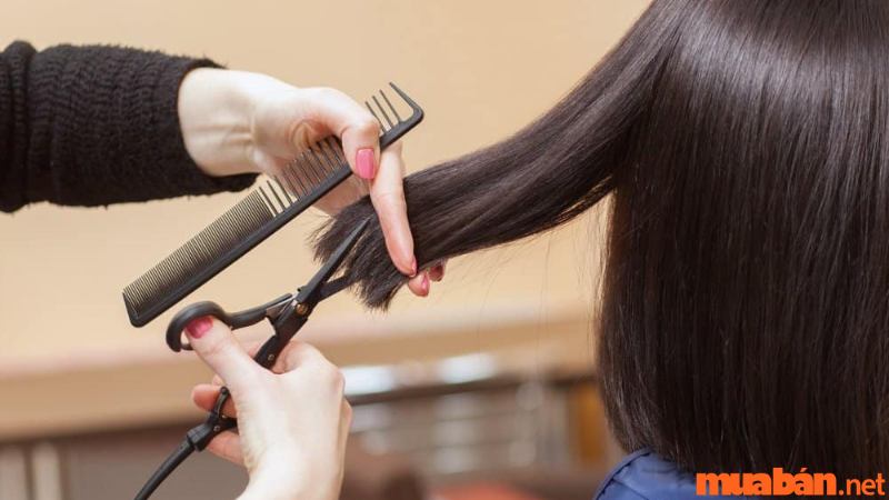 Review Trải nghiệm cắt tóc an toàn mùa dịch COVID tại The Cut Station sau  nửa năm | Viết bởi dai_vie199