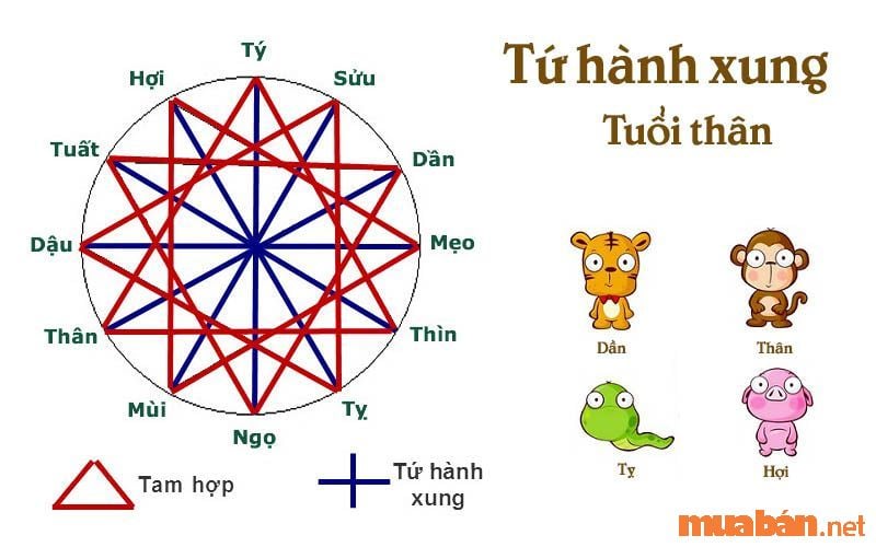 Bốn Con Giáp Tứ Hành Xung