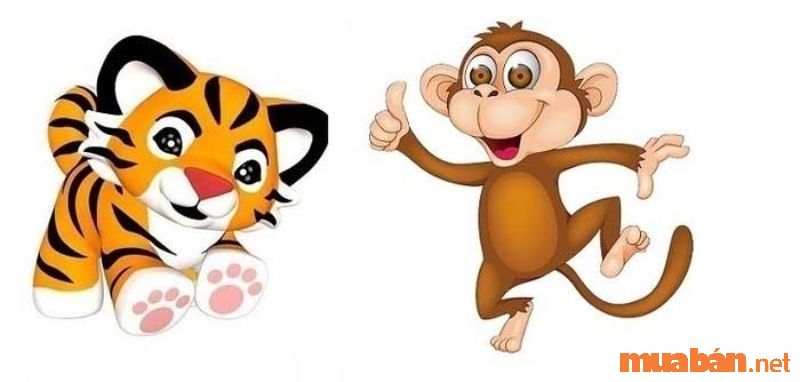 Dissolve the conflict of the Tiger and Monkey in love and marriage