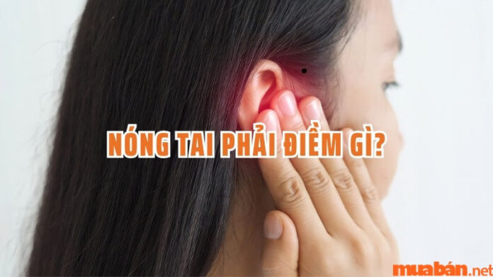 Nóng tai phải là điềm tốt hay xấu? Giải mã hiện tượng nóng tai phải