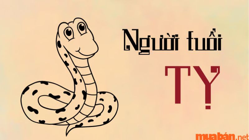 What is the personality of the people born in the year of the Snake?