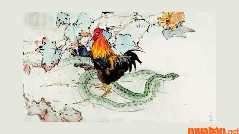 Year of the Snake and the Year of the Rooster