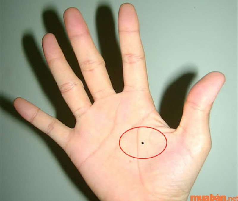 Nốt ruồi xuất hiện ở lòng bàn tay đem đến điều gì cho chủ nhân?