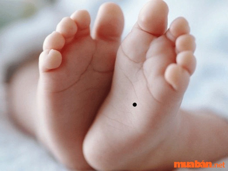 Người có nốt ruồi ở lòng bàn chân được gọi là tài sắc vẹn toàn