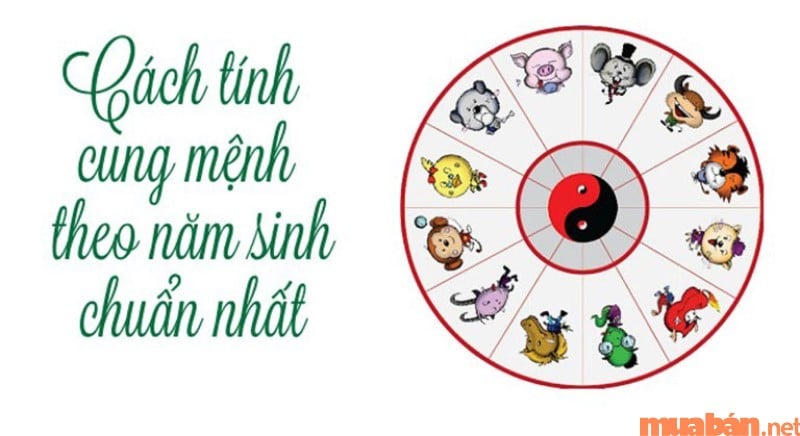 Bảng tra cứu sinh mệnh và cung mệnh dễ sử dụng