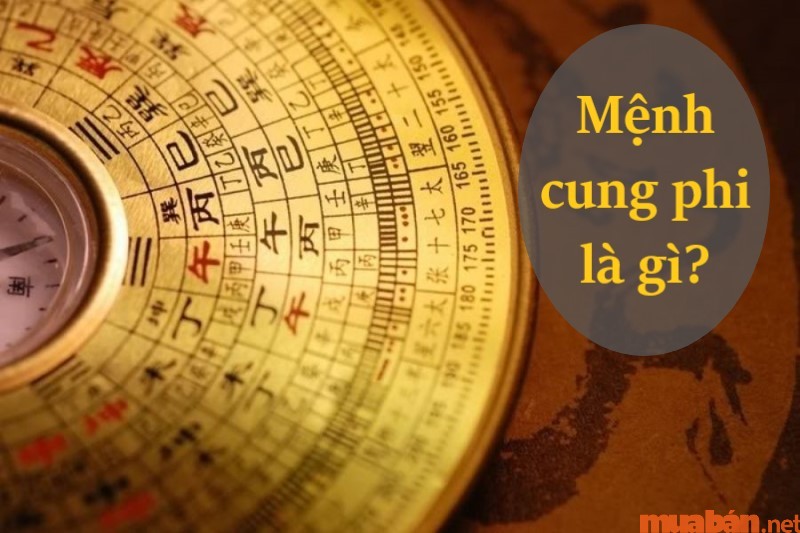 Dựa vào mệnh cung phi cũng là cách để biết mình mệnh gì chuẩn xác