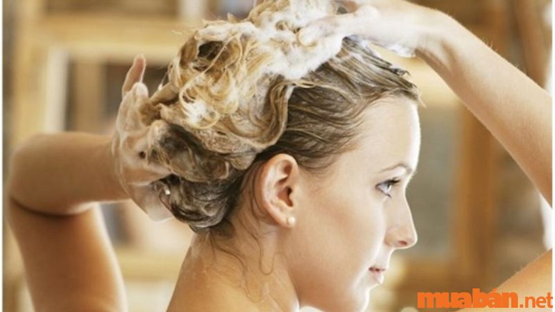 Lựa chọn dầu gội đầu phù hợp cho tóc sau khi nhuộm