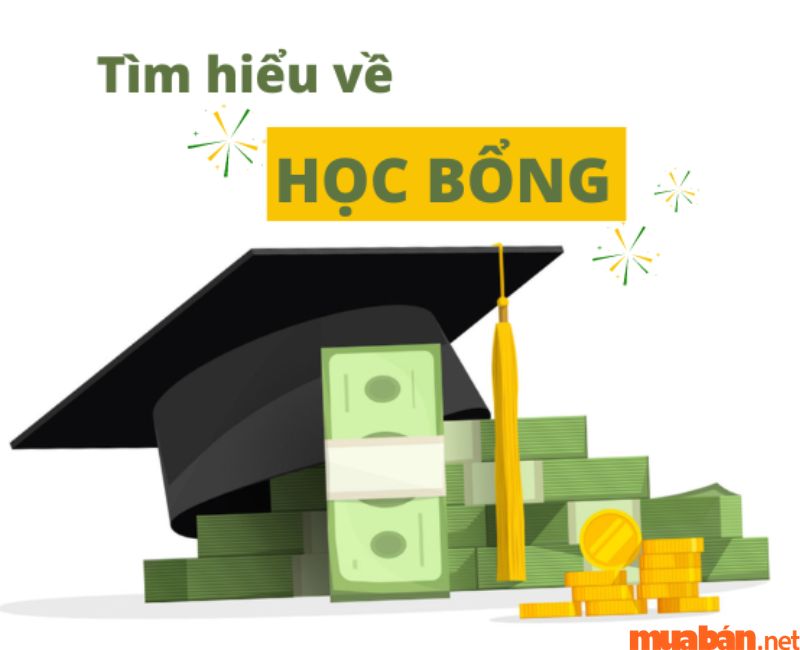 Các chính sách học bổng