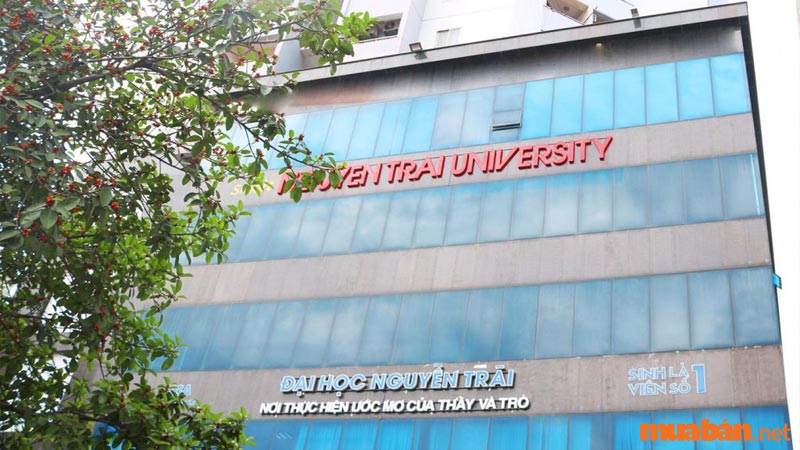 Thông tin cơ bản về Đại học Nguyễn Trãi