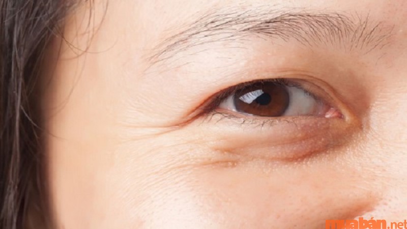 What is the personality of a person with long, fleshy, plump eyes?