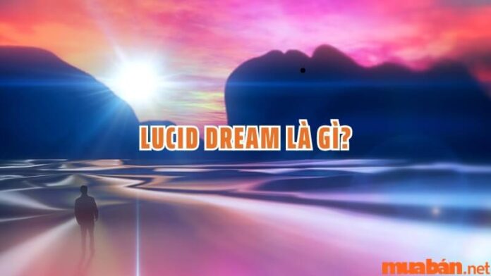 Lucid dream là gì? Liệu có thể điều khiển Lucid dream không?