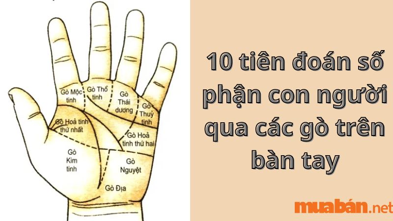 10 tiên đoán số phận con người qua các gò trên bàn tay 
