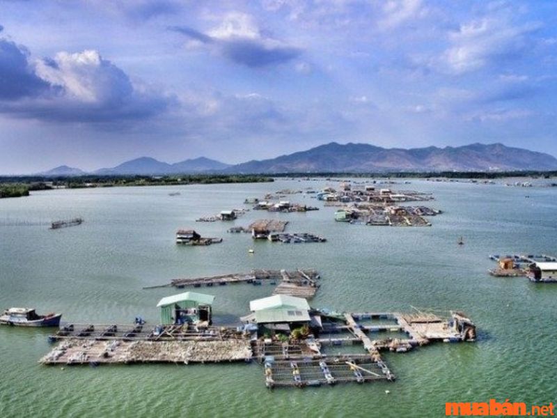 Đảo Long Sơn